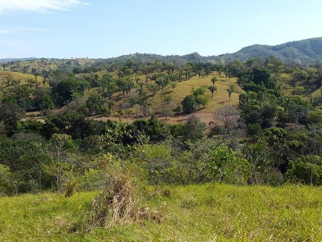 glen1