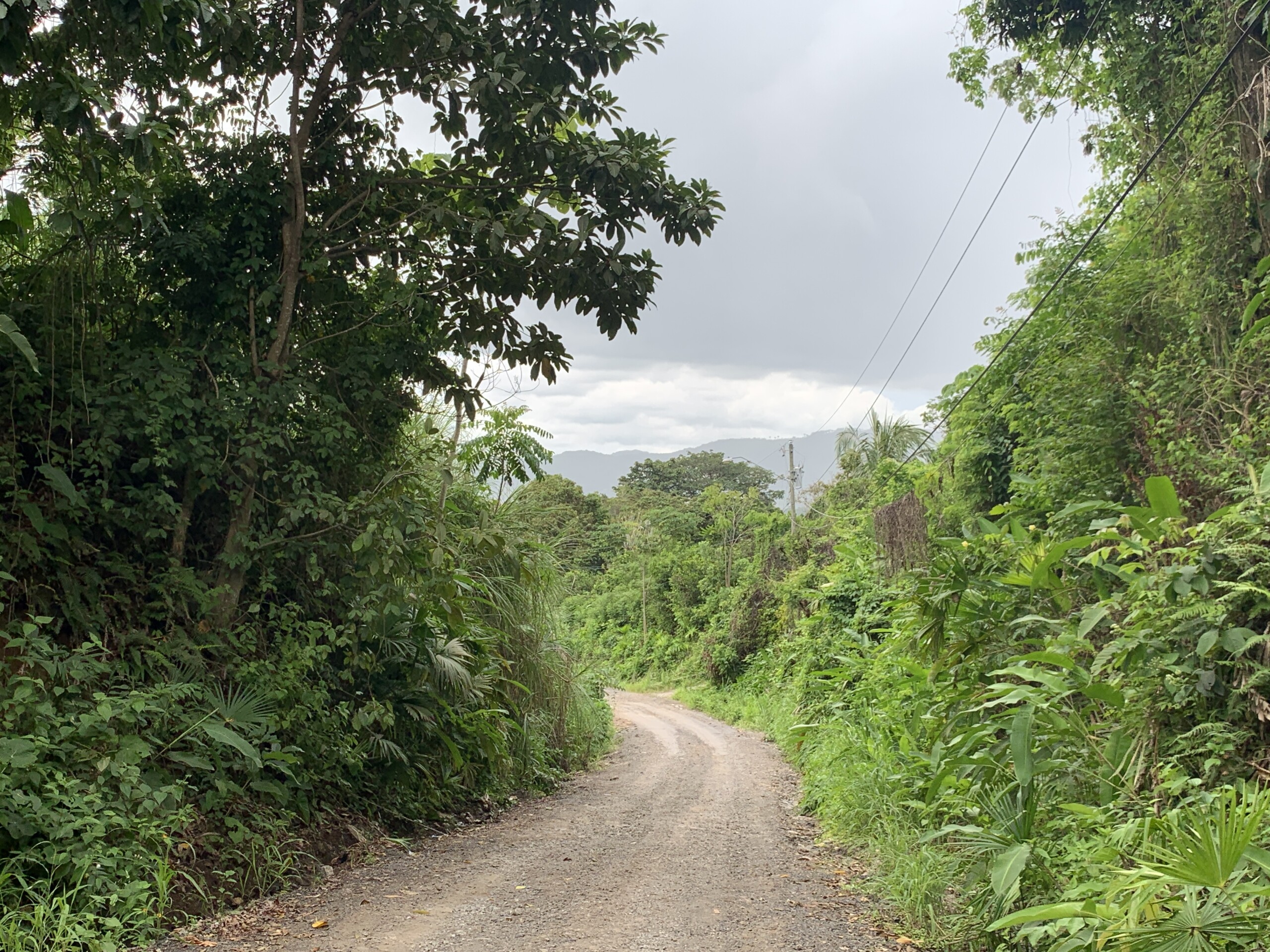 mountain property for sale in Capira, Panama
