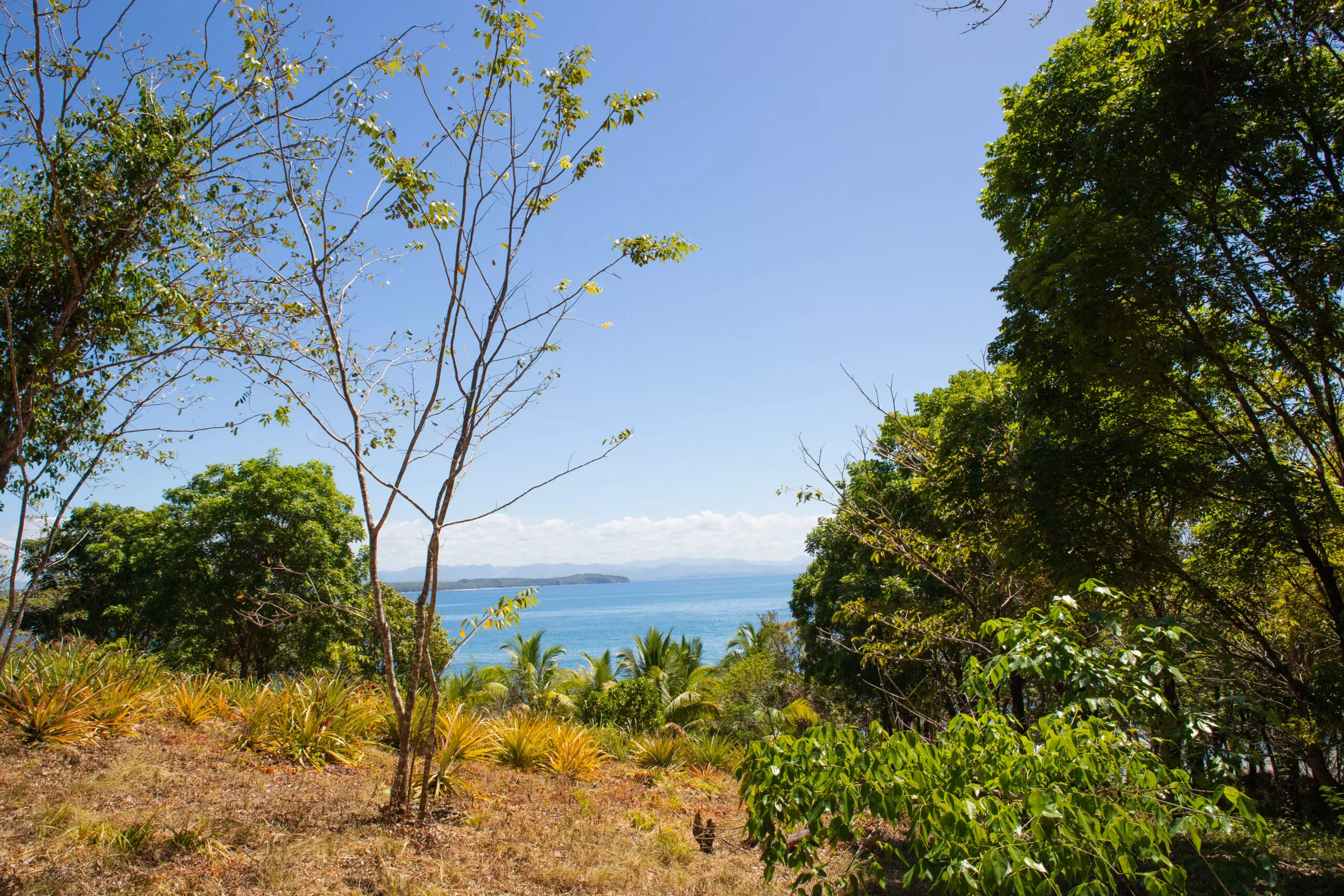 beachfront property for sale on Cebaco island Panama