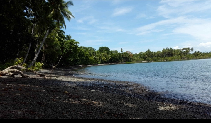 beachfront property for sale in chiriqi Panama