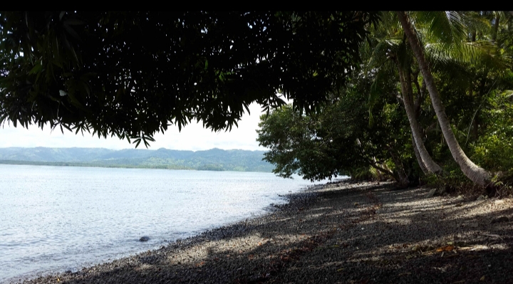 beachfront property for sale in chiriqi Panama